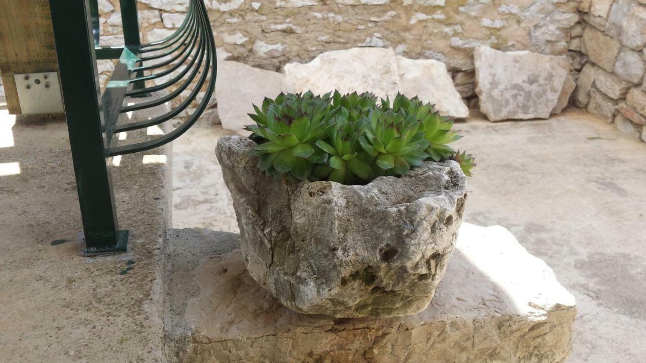 Villa Cetina Milasi Kültér fotó