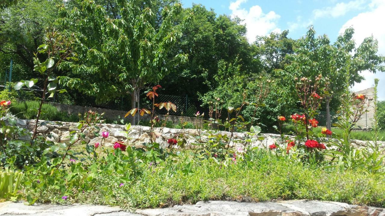 Villa Cetina Milasi Kültér fotó