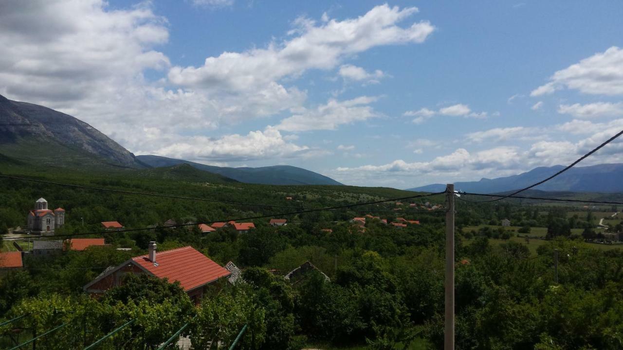 Villa Cetina Milasi Kültér fotó