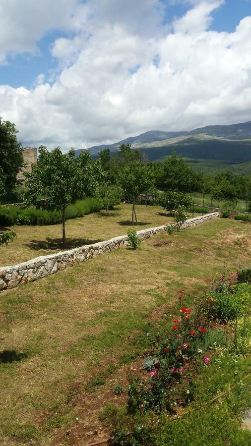Villa Cetina Milasi Kültér fotó