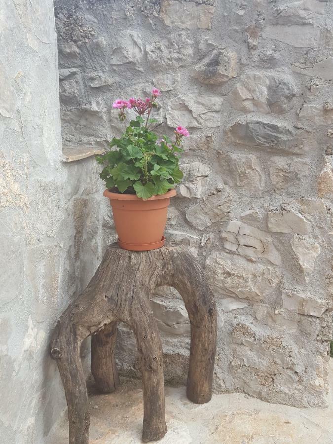 Villa Cetina Milasi Kültér fotó