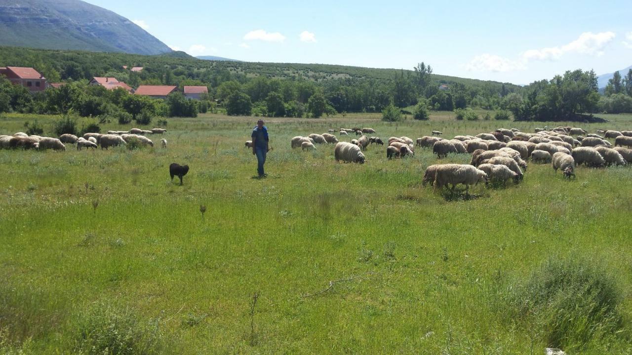 Villa Cetina Milasi Kültér fotó
